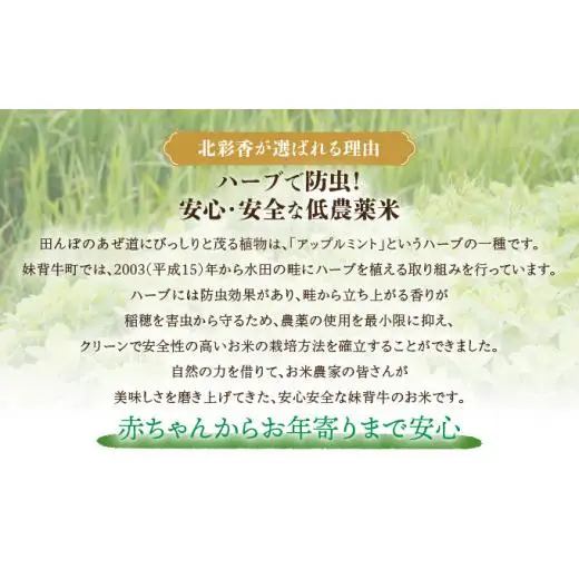 令和8年産 ゆめぴりか 玄米 10kg 【北彩香】