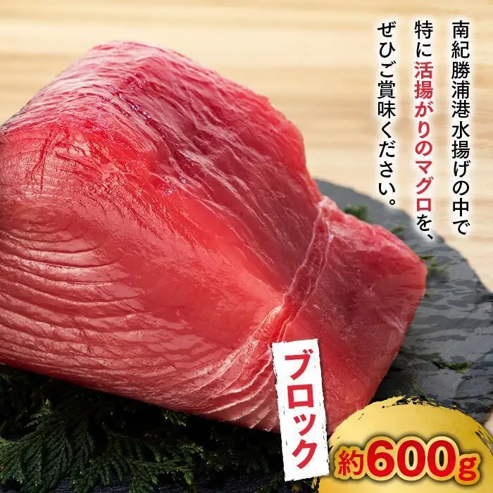 【ギフト用】生まぐろ 約600g まぐろ