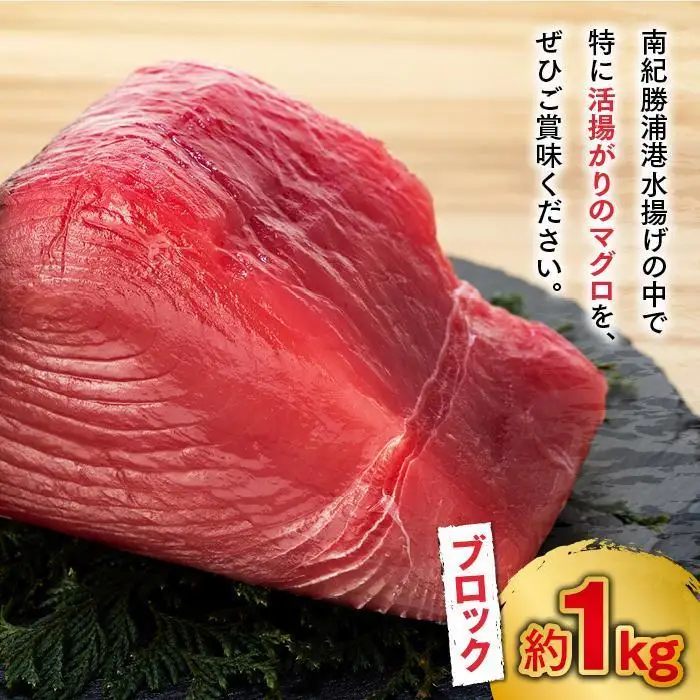 【ギフト用】生まぐろ 約1kg まぐろ