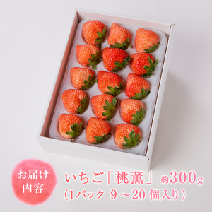 a10-989　いちご 桃薫(とうくん）大粒1パック（約300g）