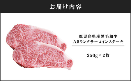 1397-1 鹿児島県産黒毛和牛A5ランクサーロインステーキ 500g（250g×2枚） KN041-001-01 肉 牛肉 冷凍