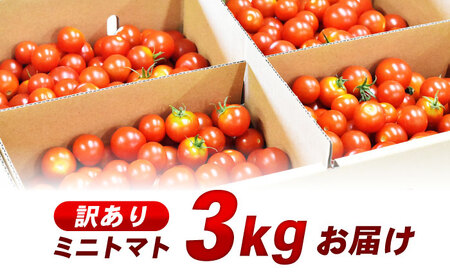 【訳あり】ミニトマト 3kg / 訳あり 訳アリ ミニトマト プチトマト トマト とまと 野菜 やさい / 諫早市 / 原農園 [AHCZ001]