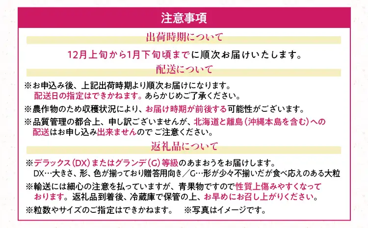 福岡産【冬】あまおう 4パック 合計1000g （1パックあたり250g） いちご 苺 果物 フルーツ 九州産 福岡県産 冷蔵 送料無料【12月上旬発送開始予定】