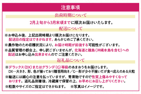 福岡産【春】あまおう 6パック 合計約1500g（1パックあたり250g） いちご 苺 果物 フルーツ 九州産 福岡県産 冷蔵 送料無料 【2月上旬発送開始予定】