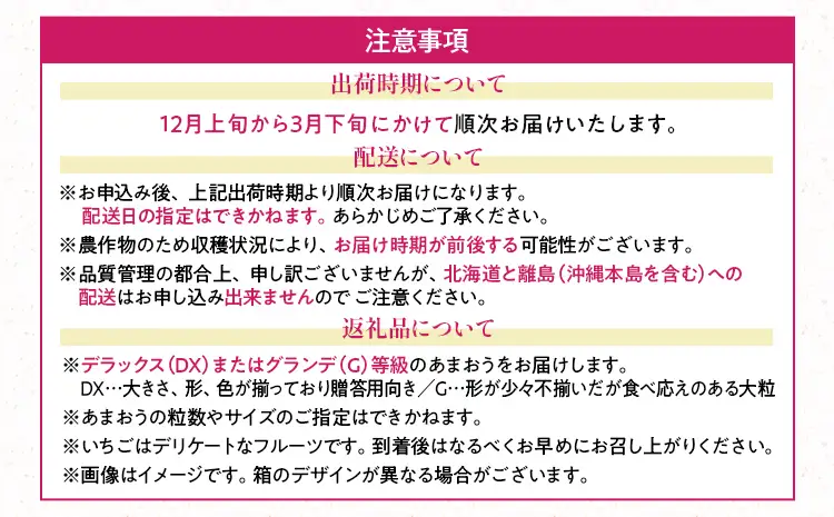 あまおう 約300g(12-15粒)ギフト箱 ＆ ふくや味の明太子 540g 明太子 惣菜 あまおう イチゴ いちご スイーツ 果物 フルーツ 送料無料【12月上旬発送開始予定】