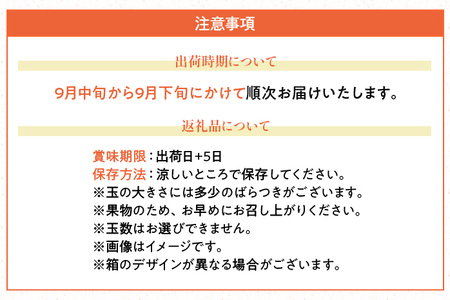 福岡県産ブランドみかん 「早味かん」約2kg箱
