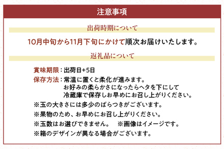 福岡県産ブランド柿「秋王」約1.5kg(4-6玉)