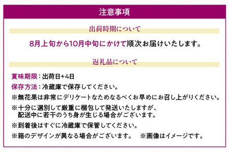 福岡県産ブランド無花果「とよみつひめ」(約300g×4パック)