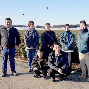 茨城県産 ほうじ茶 ジェラート アイス 3個 ジェラートセット
