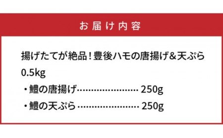 揚げたてが絶品！豊後ハモの唐揚げ＆天ぷら/0.5kg _0275N