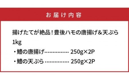 揚げたてが絶品！豊後ハモの唐揚げ＆天ぷら/1kg _0274N