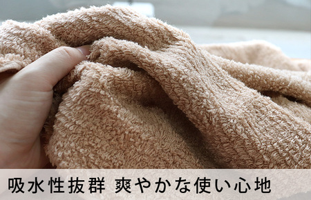 （今治タオルブランド認定品）今治タオル 速乾Daily バスタオル２枚セット＜ライトグレー＞ヒオリエ 【I001190LGY】