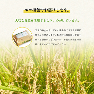 こしひかり 玄米時重量 5kg×2袋 10kg 分づき米 対応可 真空パック コシヒカリ 米 簡易梱包 エコ梱包 分つき米 分付き米 ぶづきまい 白米 七分づき 7分づき 五分づき 5分づき 三分づき 3分づき 玄米