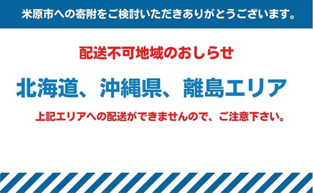 カットシ フォンケーキ 詰合せ（６個入り） 焼き菓子 スイーツ 洋菓子