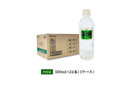 【CF-R5tka】　四万十の純天然水 500ml×24本 