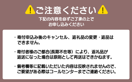 砂金ラーメン 塩 1食 金箔入り 黒い? 竹炭【中頓別限定】
