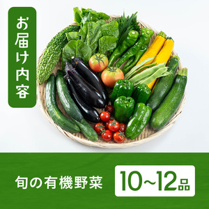 ＜先行予約受付中！2026年6月上旬より順次発送予定＞旬の有機野菜セットB(10～12品)やさい 詰合せ 詰め合わせ 季節 おまかせ お楽しみ【114500201】【さとう有機農園】