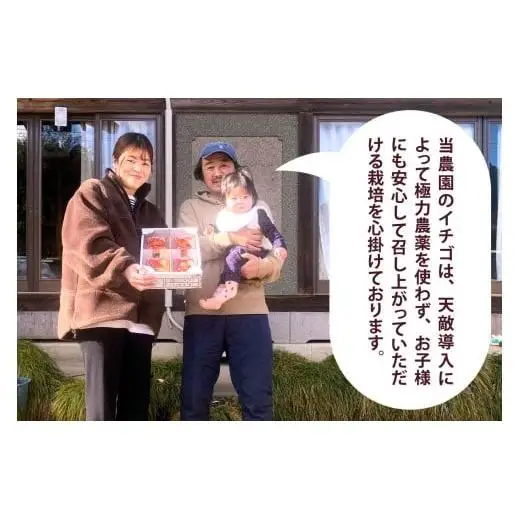 やさしさ仕立ての とちあいか 280g×4P 【2027年先行予約】 栃木県 矢板市