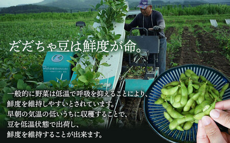 数量限定【令和8年産先行予約】 白山だだちゃ豆　1.5kg（500g × 3袋） + 訳あり200g　鶴岡市白山産　長五郎