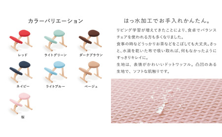 椅子 バランスイージー カバー付き 選べる フレーム カラー 姿勢矯正 インテリア 家具 ショートネイビー+ネイビー