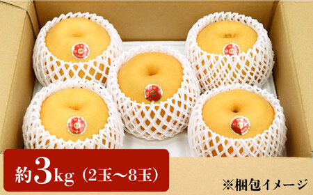 【2026年10月-発送】【あなたを満たす梨の王様】新高梨 約3kg 特大級 梨専門 八木農園 / 梨 なし ナシ / 南島原市 / 贅沢宝庫 [SDZ031]