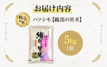 令和6年産 新米 先行受付 【織部の里米(R)】精米 ハツシモ5kg×1袋 岐阜県本巣市産 米  もとすファーム