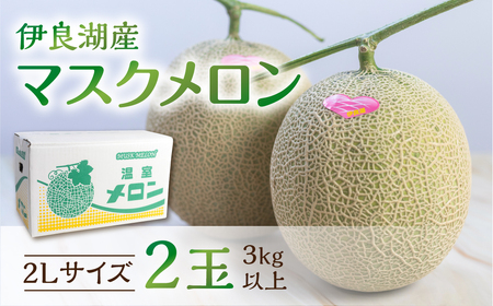 《先行予約》マスクメロン 2玉 2Lサイズ 伊良湖メロン男子