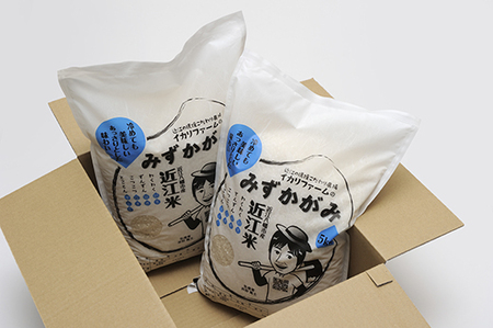 令和7年産 みずかがみ 白米 10kg ( 5kg × 2袋 )  冷めても美味しい あっさりとした味わい 【C015W1】近江米