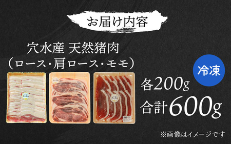 今話題のジビエ！奥能登穴水町産 天然 猪肉セット 600g