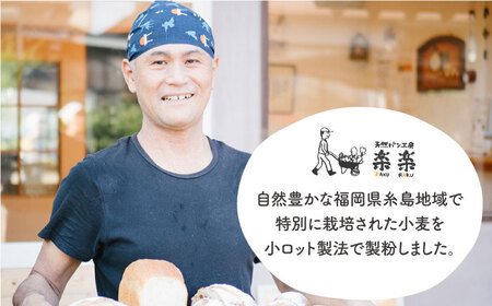 【全12回定期便】特別栽培 小麦 使用 伊都 の みのり( 500g × 2袋 )糸島市 / 天然パン工房楽楽【いとしまごころ】 [AVC068]