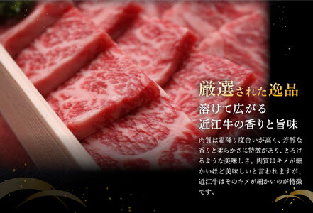 近江牛 鉄板焼 焼肉 400g 毛利志満 S027W【 近江牛 】 牛肉