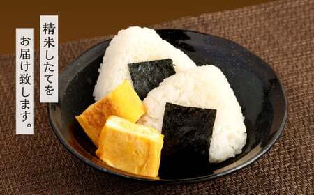 【12ヶ月定期便】【令和5年産】 夢つくし 10kg×12ヶ月 精米 お米 米