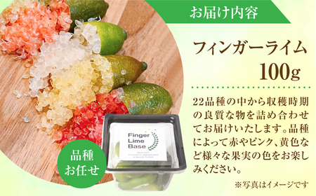 新品　 Amuseable Lime ライム　柑橘　廃盤　果物 新品 jellycat Amuseable Lime ライム 柑橘 廃盤 果物｜Yahoo!フリマ