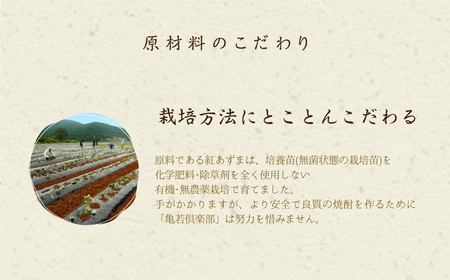 【田原蔵王山麓芋焼酎】 亀若焼酎1.8L瓶2本セット 1.8Ｌ お取り寄せ ご当地 焼酎 芋焼酎 芋 紅あずま いも焼酎 本格焼酎 お酒 セット 宅飲み 1800 地酒 ギフト 送料無料 23000円
