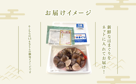 【定期便3ヶ月】九十九里産 大粒 天然はまぐり1.5kg×3回 計4.5kg ふるさと納税 はまぐり 蛤 天然 焼きはまぐり 網焼き 酒蒸し お吸い物 お祝い パエリア 和食 活はまぐり 千葉県 白子町 SHF009