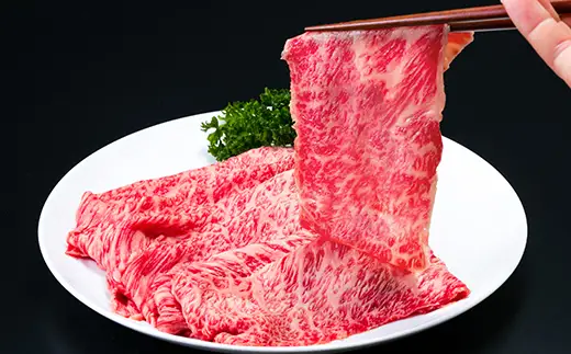 近江牛 すき焼き しゃぶしゃぶ 肩ロース 500g ＋ 近江牛 ハンバーグ 3個 450g (150g×3個) 【AB65W】 【 近江牛 】 牛肉 セット
