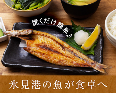 日本海氷見の幸10種！【氷見ぶり・昆布〆お刺身】鱈場おすすめ一夜干しセット 魚貝類 加工食品 魚介類 干物  西京漬け 鰤ハム カマス アジ 一夜干し 醤油 昆布締め 富山湾 氷見