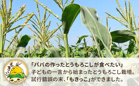 【先行予約】糸島 トウモロコシ 『もきっこ』 黄 （ 10本前後 ） 【2026年6月下旬以降順次発送】《糸島》 【内田農業】 [AZH001]