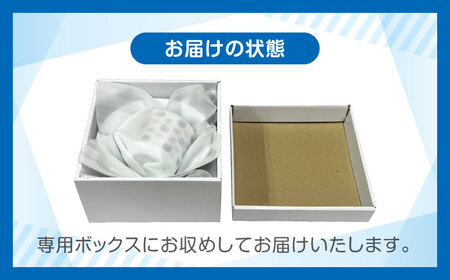 【美濃焼】MEAL Kids ゾウ 麺鉢 カレー皿 マグカップセット【大東亜窯業】楕円皿 子供用 皿 プレート 楕円 カレー パスタ キッズ 食器 男の子 女の子 動物 可愛い 日本製 美濃焼 陶器 出産祝い お食い初め きりん キリン マグ[MAG059]