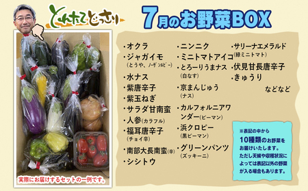 数量限定　矢巾町産　夏野菜セット【10種】7月発送/産地直送 野菜セット 約10品目 新鮮 旬 野菜 やさい きゅうり ナス ピーマン 玉ねぎ りんご じゃがいも トマト ミニトマト キャベツ にんじん 枝豆 ネギ 詰め合わせ お取り寄せ おまかせ おすすめ 岩手県 矢巾町