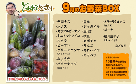 数量限定　矢巾町産　秋野菜セット【10種】9月発送/産地直送 野菜セット 約10品目 新鮮 旬 野菜 やさい きゅうり ナス ピーマン 玉ねぎ りんご じゃがいも トマト ミニトマト キャベツ にんじん 枝豆 ネギ 詰め合わせ お取り寄せ おまかせ おすすめ 岩手県 矢巾町