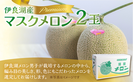 《先行予約》マスクメロン プレミアム 2玉 伊良湖メロン男子