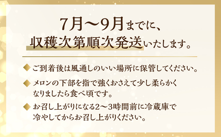 《先行予約》アールスメロン 3L×4玉 メロン 日研農園