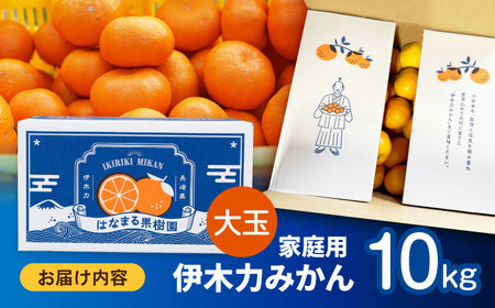 ※【2026年12月上旬より順次発送／先行予約】伊木力みかん(大玉) 10kg / みかん ミカン 蜜柑 フルーツ 果物 / 諫早市 / 山野果樹園 [AHCF005]