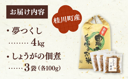  桂川町産 白米 4kg と しょうがの佃煮セット [ADAI001] 米 佃煮