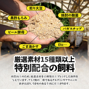 2266 鰻も牛もどっちもイエェェェーイ！セット2 KN050-003-02 冷凍 肉 魚 黒毛和牛