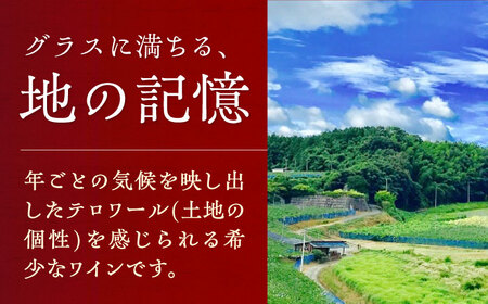 内子夢わいん 赤ワイン (ベリーA) 約720ml 2本 BKAG007
