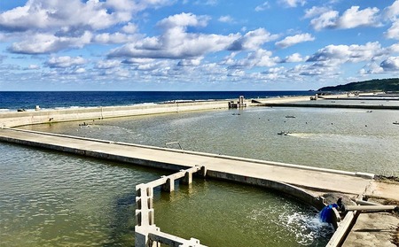 車海老【久米総合開発】急速冷凍チビ車海老：500g（要加熱） 車えび 海鮮