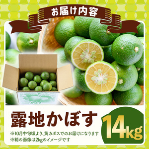 ＜先行予約受付中！2026年8月上旬以降順次発送予定＞露地カボス(約14kg)かぼす カボス 柑橘 特産品 大分県産【107100903】【あいはな農園】