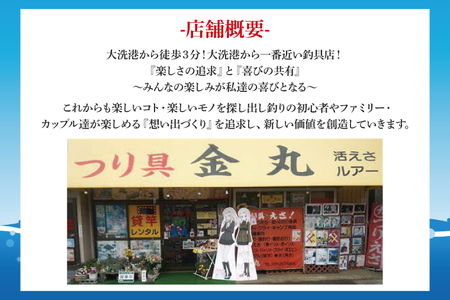  釣具 レンタル 1名様分 (4時間) 初めてでも安心！手ぶらで気軽に海釣り！ サビキ釣り ちょい投げ釣り フィッシング 釣り 竿 チケット 券 体験 レジャー 旅行 魚 さかな 大洗_DL001